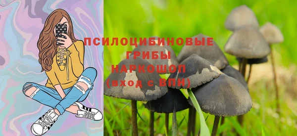 ALPHA-PVP Новодвинск
