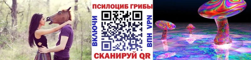 Псилоцибиновые грибы мицелий  Аргун 