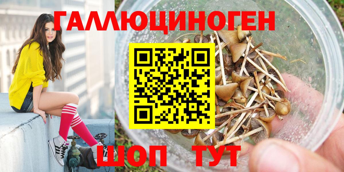 Галлюциногенные грибы GOLDEN TEACHER  Галлюциногенные грибы ЛСД  Вход с VPN  Аргун 