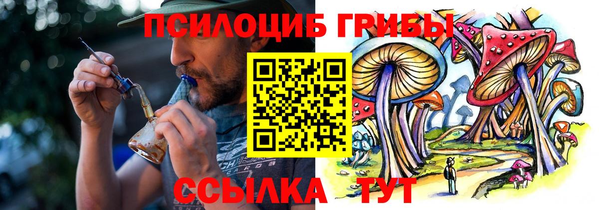 Псилоцибиновые грибы мицелий Аргун