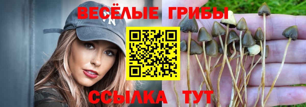 Галлюциногенные грибы ЛСД  Аргун  магазин продажи наркотиков  Галлюциногенные грибы Magic Shrooms 