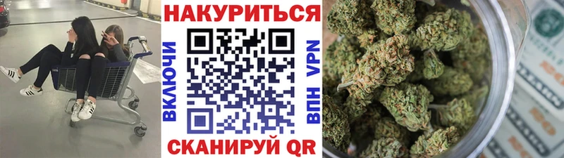 Бошки марихуана MAZAR  продажа наркотиков  Аргун 